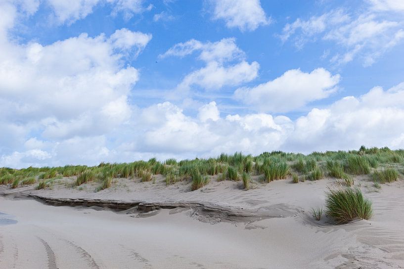 Hollandse duinen van Irma Marneth