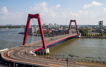 Le Willemsbrug à Rotterdam sur MS Fotografie | Marc van der Stelt
