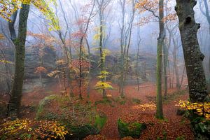 Herstbos