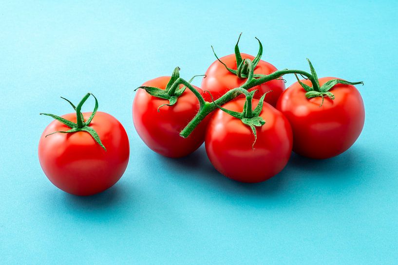 Gemüse: 5 Strauß Tomaten auf blauem Hintergrund von Ruurd Dankloff