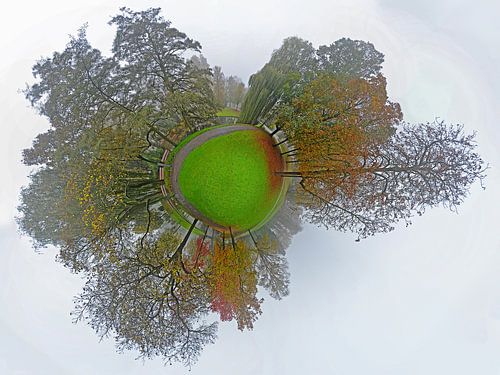 Bolpanorama Mist in het Park Rotterdam