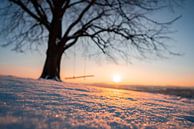 Zonsondergang aan een boom met schommel in de winter van Leo Schindzielorz thumbnail