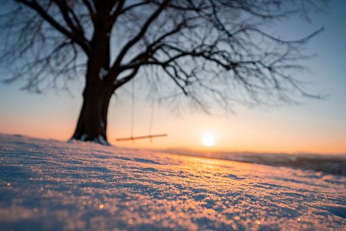 Zonsondergang aan een boom met schommel in de winter