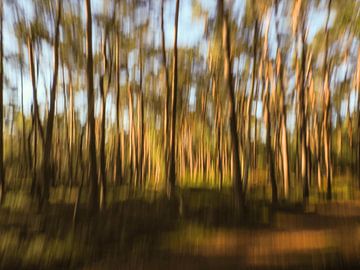 creatieve natuurfotografie 'woodlands' part 2