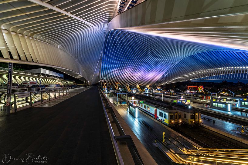 Station Luik-Guillemins by Danny Bartels
