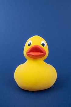 Rubber duck
