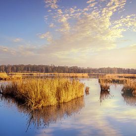 The Luysen Mariahoef by Peschen Photography