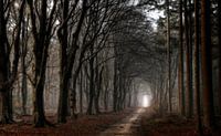 Licht aan het eind van de tunnel