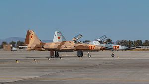 Zwei Northrop F-5N Tiger II's.