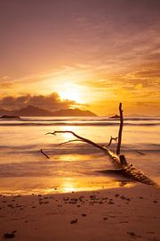 Mystic beach by Silvio Schoisswohl