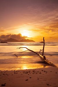 Mystic beach