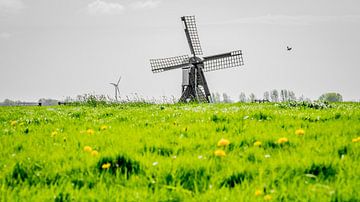 Spider-head mill, Fatum, Tzum, Friesland, Netherlands. by Jaap Bosma Fotografie