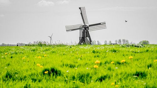 Spinnenkopmolen, Fatum, Tzum, Friesland, Nederland. van Jaap Bosma Fotografie