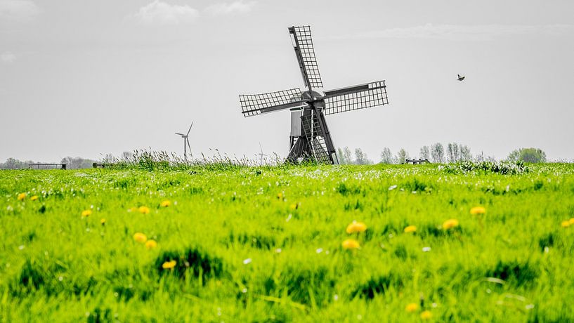 Spinnenkopmolen, Fatum, Tzum, Friesland, Nederland. van Jaap Bosma Fotografie