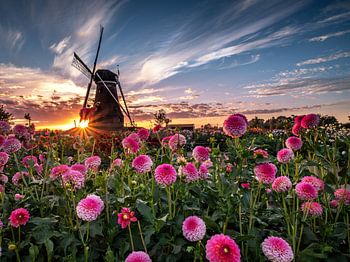 Sunset at the Piepermolen in Rekken