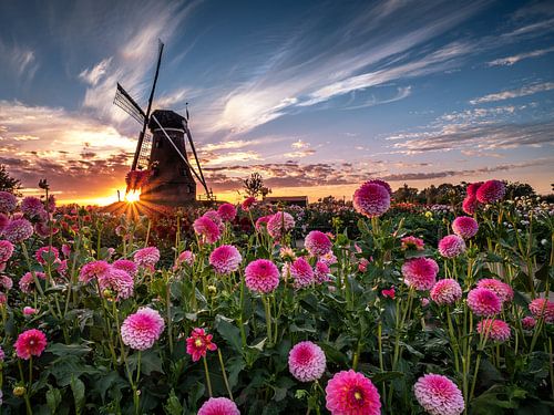 Sunset at the Piepermolen in Rekken