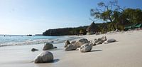 Cas Abao Beach Curacao