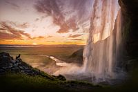Icelandic shepherd with Sunset at Seljalandsfoss