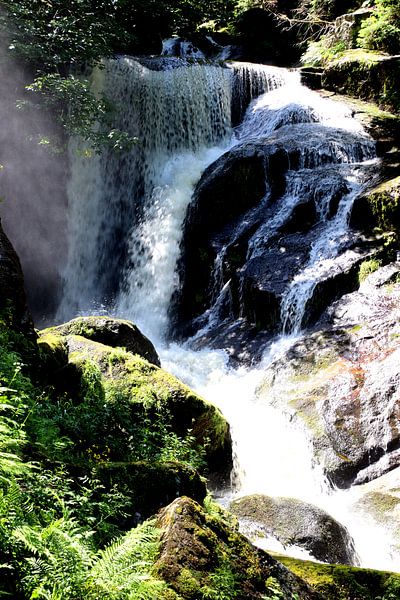 Triberg waterfall 4 by Paul Emons