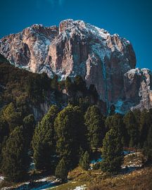 Grüne, aber eisige Landschaft von StephanvdLinde