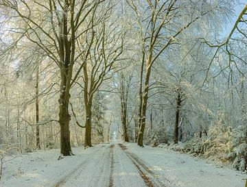 Winter, sneeuw in Beetsterzwaag Opsterland Friesland van Ad Huijben