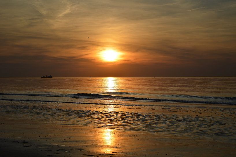 Golden Hour by Suzan (Suus) Buskes