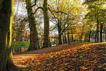 Utrecht Singel bij Lepelenburg