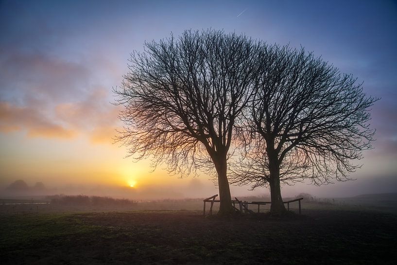 Lentevreugd Wassenaar on a beautiful morning by Dirk van Egmond