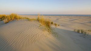 Terschelling, quelle île ! sur Dirk van Egmond