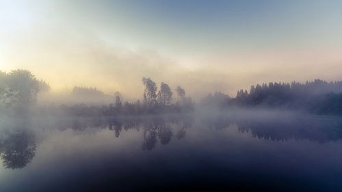 The Fog over the Pond