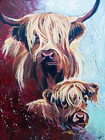 Schottische Highlander, Mutter und Kind.