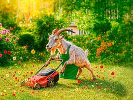 Ziegen-Gärtner verwüstet Blumengarten von ArtMomente