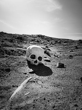 Woestijn mummie van Daniel Kling