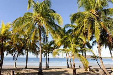 Costa Rica sur René Schotanus