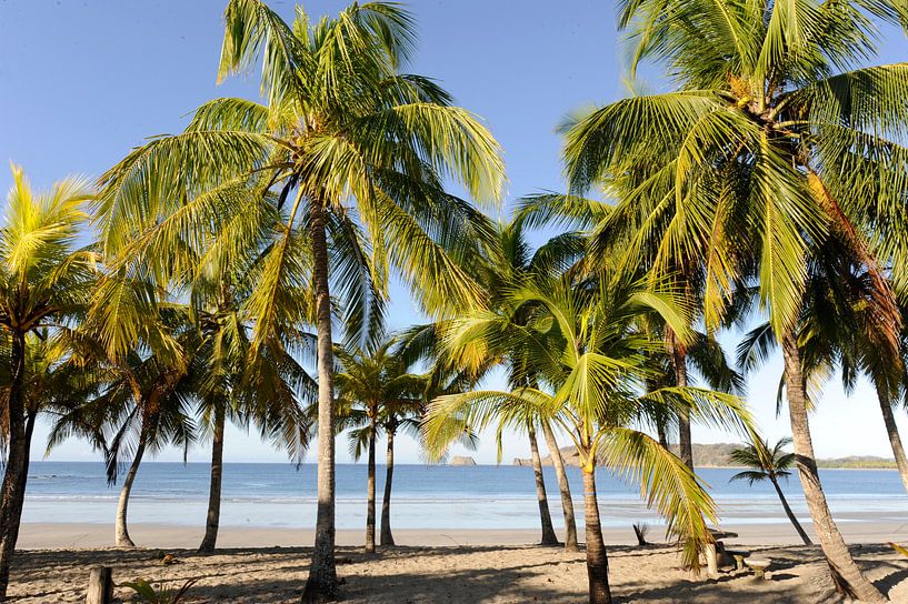 Costa Rica van René Schotanus