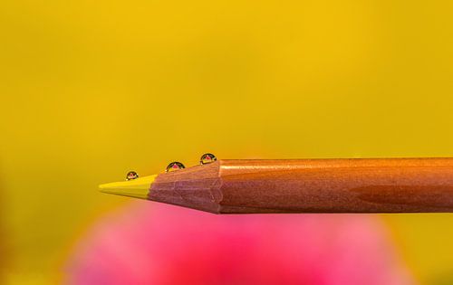 Gerbera réfléchi sur trois gouttes d'eau