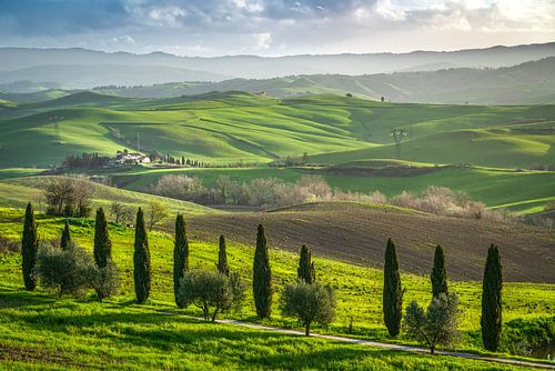 Ochtendlandschap in de heuvels van Volterra, Toscane