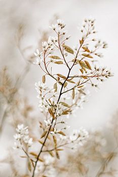 De belles couleurs naturelles