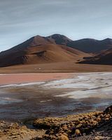 Flamingos op de Boliviaanse hoogvlaktes | Bolivia