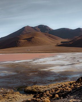 Flamingos op de Boliviaanse hoogvlaktes | Bolivia van Felix Van Leusden