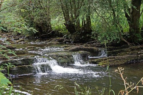 Fowley's Falls in Ierland