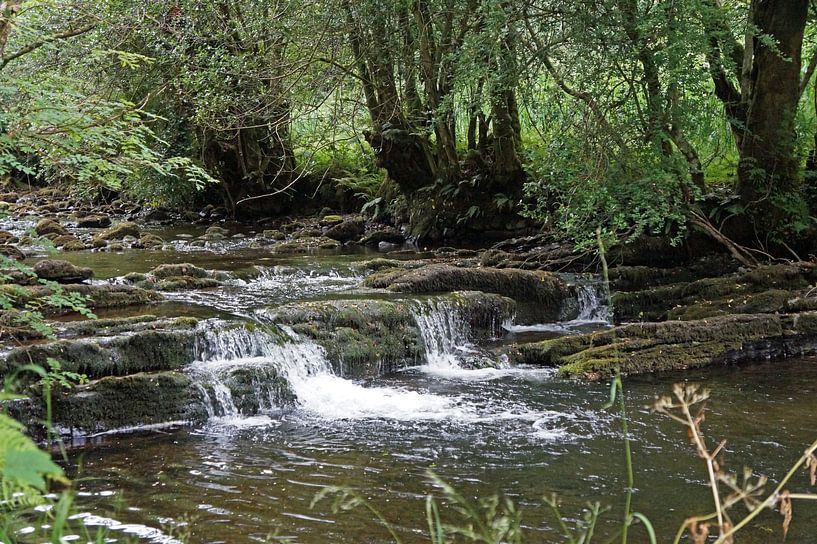 Fowley's Falls in Ireland by Babetts Bildergalerie