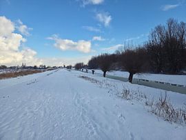 Winter in den Niederlanden (Nootdorp) von Roeland Roeten