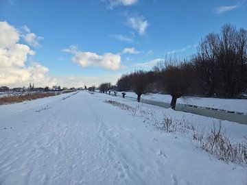 Winter in Nederland (Nootdorp)