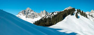 Winteruitzicht op de Kellenspitze van Leo Schindzielorz