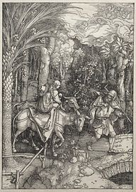 Das Marienleben: Flucht nach Ägypten, Albrecht Dürer von De Canon