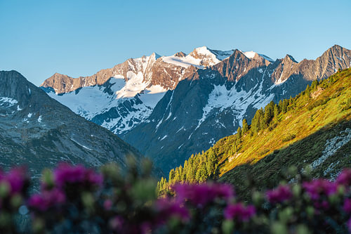 Zillertaler Alpen