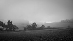 Landschaft im Nebel