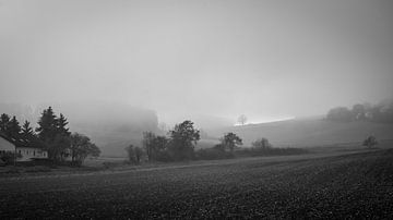 Landschap in de mist van Rainer Pickhard