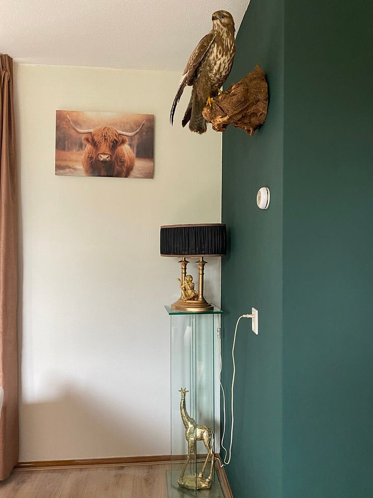 Highlander écossais par Karel Ton